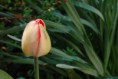 /album/photo-gallery/a1-jpg/