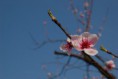 /album/photo-gallery/a4-jpg/