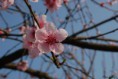 /album/photo-gallery/a5-jpg/