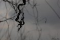 /album/photo-gallery/a8-jpg/