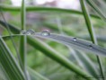 /album/photo-gallery/a13-jpg/