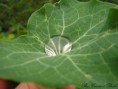 /album/photo-gallery/a14-jpg/