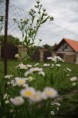/album/photo-gallery/a19-jpg/