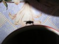 /album/photo-gallery/a22-jpg/