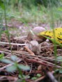 /album/photo-gallery/a25-jpg/