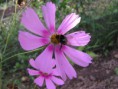 /album/photo-gallery/a26-jpg/