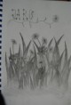 /album/drawings/dsc-4353-jpg/