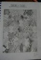 /album/drawings/dsc-4354-jpg/