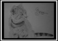 /album/drawings/kresba-jpg/