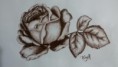 /album/drawings/a20151029-170144-jpg/